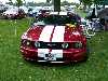 S_100_6787_small.jpg