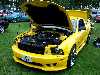 S_100_6801_small.jpg