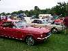 S_100_6802_small.jpg