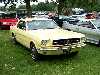 S_100_6904_small.jpg