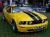 S_200_6824_small.jpg