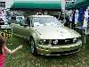 S_200_6826_small.jpg