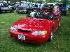 S_200_6833_small.jpg