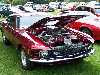 S_200_6837_small.jpg