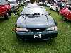 S_200_6842_small.jpg