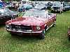 S_200_6850_small.jpg