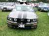 S_200_6874_small.jpg
