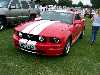 S_200_6882_small.jpg