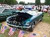 S_200_6894_small.jpg