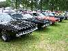 S_300_6829_small.jpg