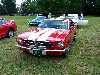 S_100_7002_small.jpg