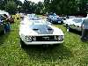 S_100_7015_small.jpg