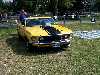 S_100_7023_small.jpg