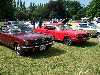 S_100_7024_small.jpg