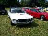 S_100_7026_small.jpg