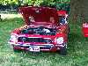 S_100_7038_small.jpg