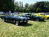 S_100_7050_small.jpg