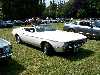 S_100_7053_small.jpg