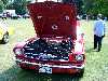 S_100_7091_small.jpg