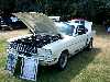 S_100_7092_small.jpg