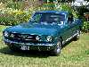 S_100_7095_small.jpg