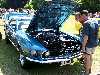 S_100_7097_small.jpg